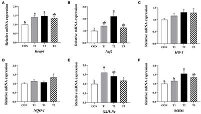 Effects of dietary supplementation with quercetagetin on nutrient digestibility, intestinal morphology, immunity, and antioxidant capacity of broilers
